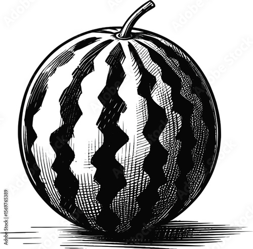 The Ultimate Thirst Quencher: Watermelon Slice fruit vintage linework ink sketch hand drawn pen drawing summer vector illustration background