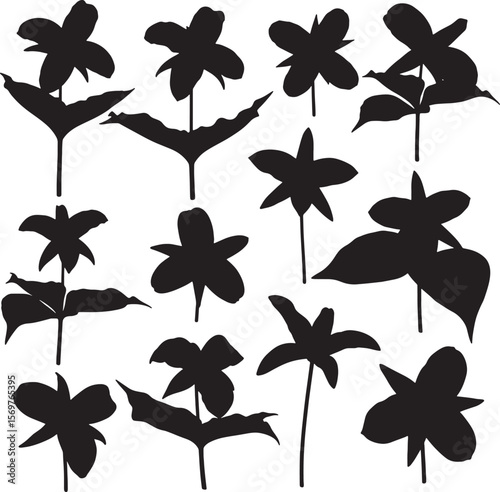 A varied assortment of trillium flower and plant silhouettes, ideal for nature-inspired designs, botanical illustrations, and elegant decorative elements with an organic feel