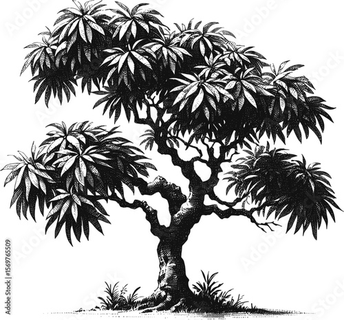 Whispers of the Tropics: The Tree’s Lullaby tree vintage linework ink sketch hand drawn pen drawing summer vector illustration background
