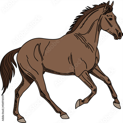 Chestnut Brown Horse Running Gracefully Muscular Equine Illustration