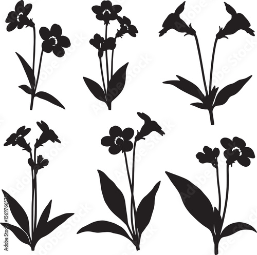 A versatile collection of black silhouette forget-me-not flower illustrations, showcasing various blooms and leafy stems, perfect for nature, garden, and botanical-themed designs