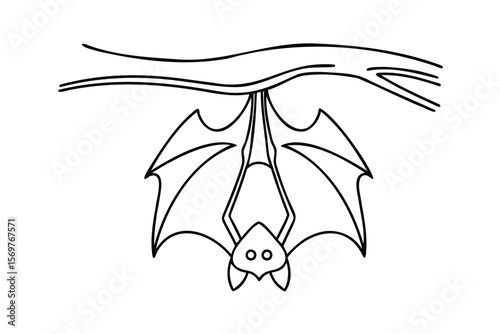 Outline a bat hanging upside down from a branch on a animal drawing