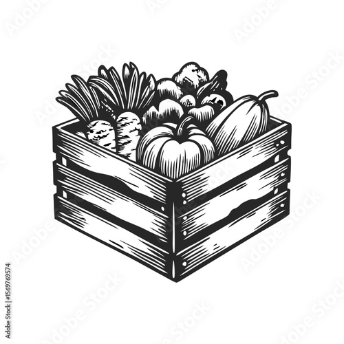Crate with vegetables displayed in hand drawn engraving style for market posters and promotional material. Crate with vegetables showcases freshly harvested produce, including carrots, pumpkins.