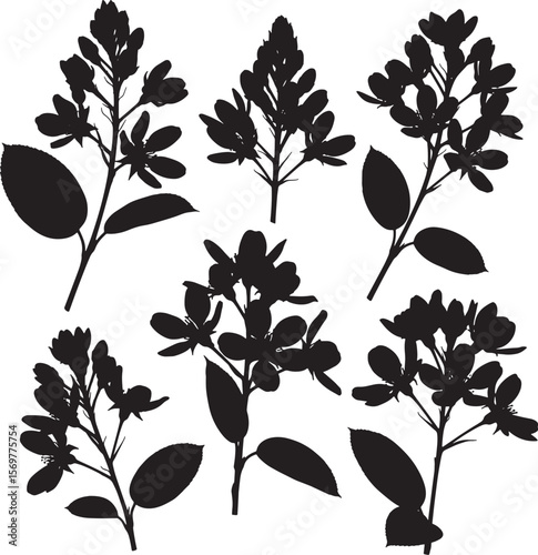 A comprehensive set of black silhouette lilac flower illustrations, depicting various stages of bloom and leafy branches, ideal for spring, nature, and floral designs