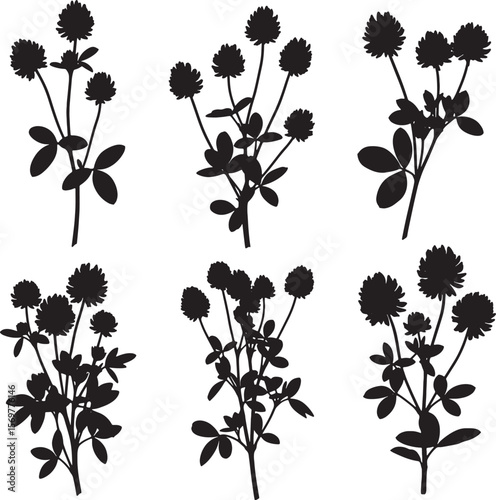 Collection of six detailed clover plant silhouettes with flowers and leaves, ideal for natural, botanical, good luck, St. Patrick's Day, and organic themed designs