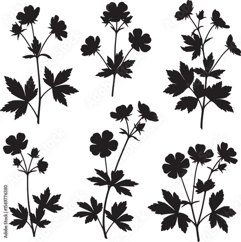 A collection of six black silhouettes of wild flowers and their foliage, featuring distinct botanical forms, ideal for natural, organic, and decorative design applications
