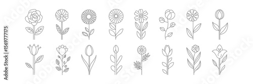 Flower Line Art Silhouettes, Floral Elements With Stems and Leaves on Transparent Background