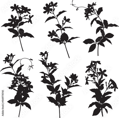 A versatile set of detailed jasmine flower and vine silhouettes, perfect for elegant botanical designs, natural cosmetic packaging, wedding invitations, and serene aromatherapy themes