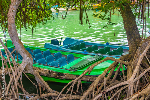 Parked empty tourist safari boats on Madu Ganga river, Sri Lanka