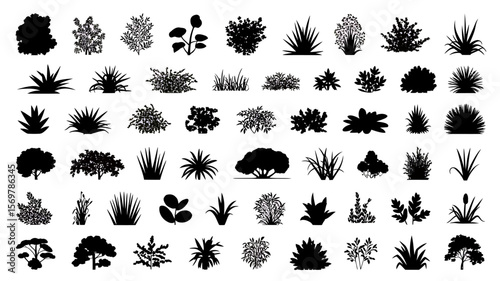 Extensive Collection of Grass and Bush Silhouettes 50 High-Resolution Vector Graphics