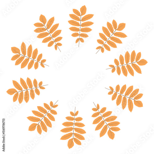 Yellow rowan circle frame. Round border of autumn leaves isolated on white background. Template for poster, postcard.