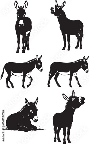 Donkey Silhouette Bundle 