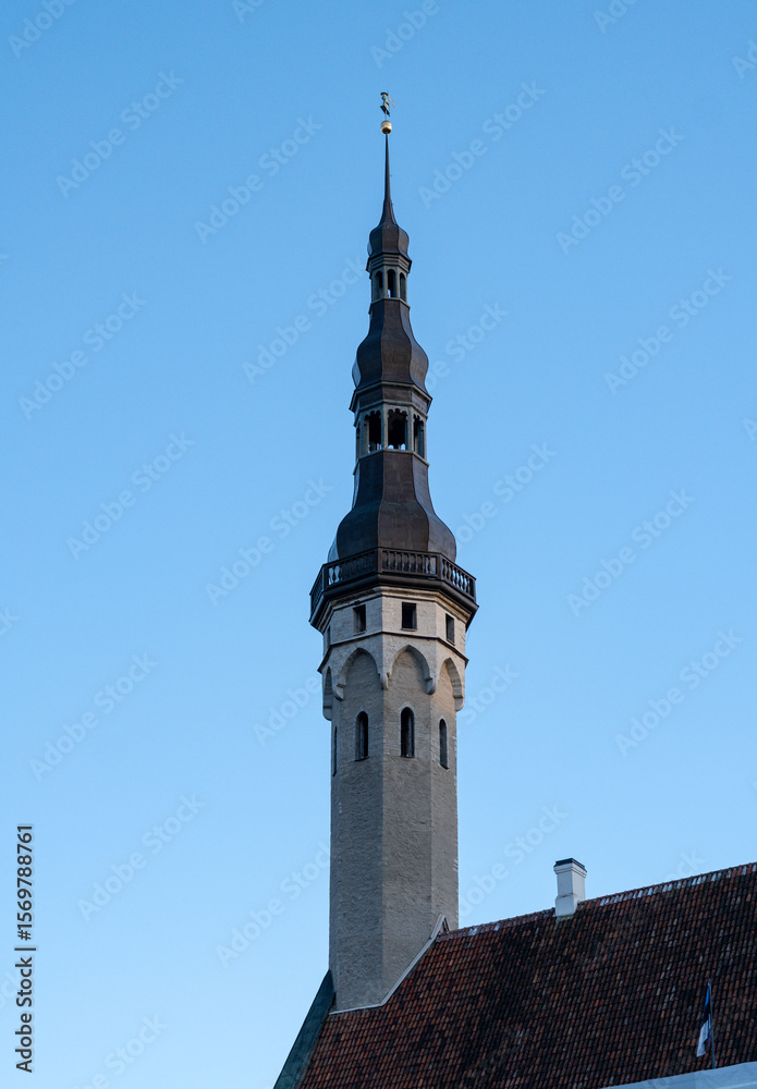 Obraz premium The tower of the city hall. Tallinn, estonia