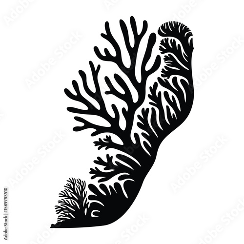 Coral and Algae Combo Silhouette, Vector, Illustration, Outline, Line Art, Icon, Logo, White Background.