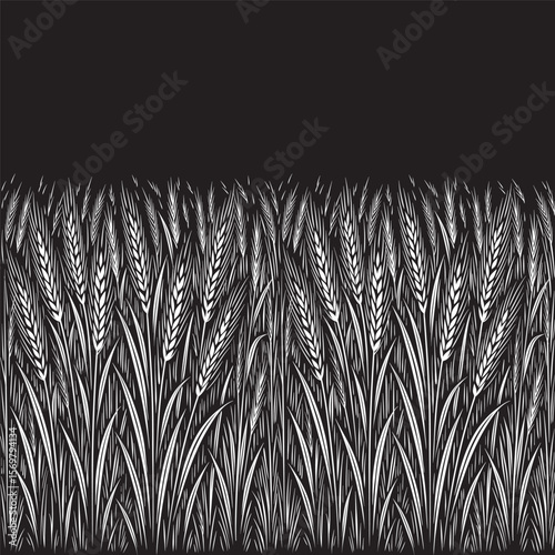 Wheat field in an engraving or linocut style hand-drawn monochrome vector illustration. Detailed ears of grain and tall leaves create a dense, textured pattern. Black and white rural landscape design