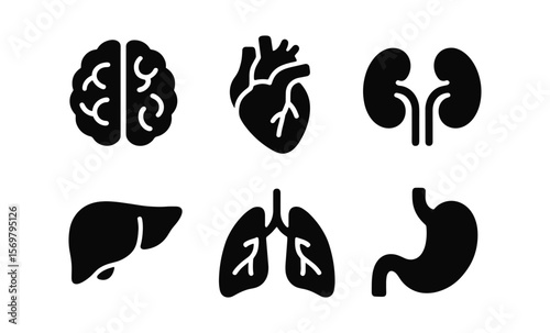 Minimalist black, white organ icons: brain, heart, kidneys, liver, lungs, stomach