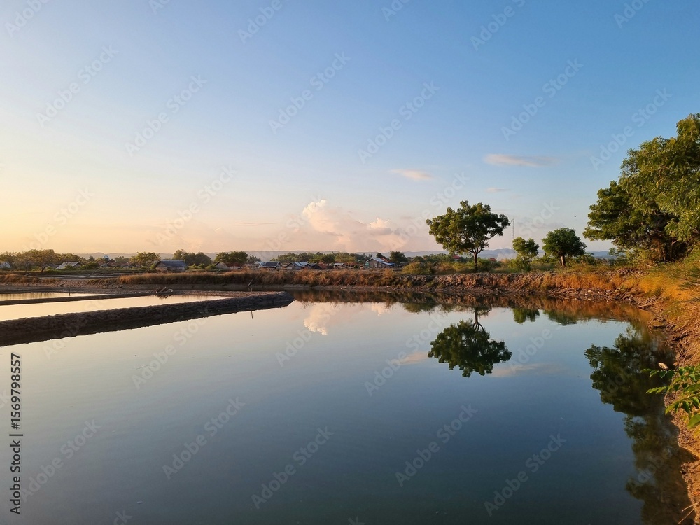 Fototapeta premium Calm rural pond reflecting a tree under a soft evening sky in a peaceful village setting