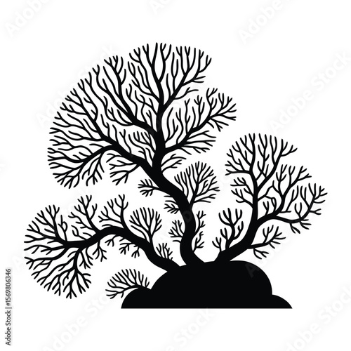 Minimalist Coral Line Art Silhouette, Vector, Illustration, Outline, Line Art, Icon, Logo, White Background.