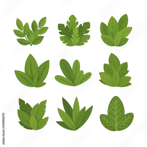 Collection of green foliage and bush vector icons