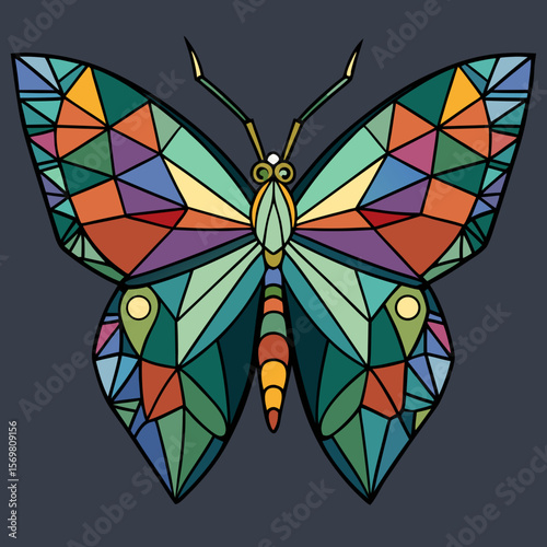 colorful butterfly on a black background