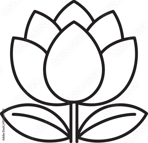 Stylized lotus flower line art floral botanical