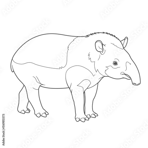 Malayan Tapir – Tapirus indicus. Black and white drawing of a Malayan tapir suitable for wildlife conservation projects, educational materials, or animalthemed designs.