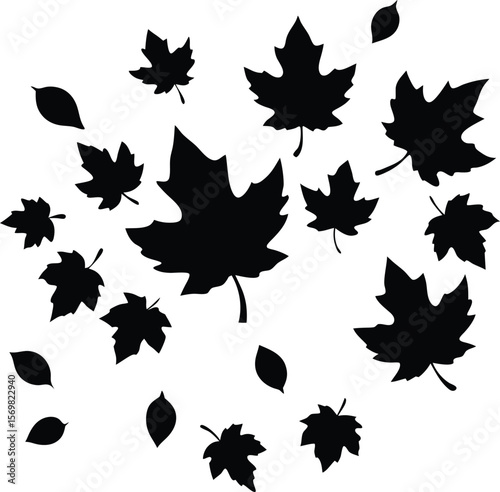 Autumn leaves falling vector silhouette  