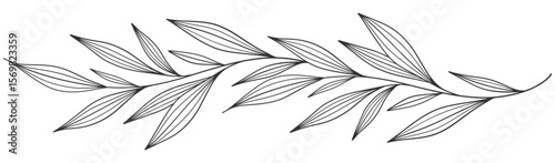 floral leaves line art isolated on white background. Divider doodle leaf and flowers, nature border decorative element vector illustration