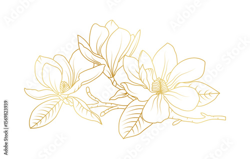 Golden magnolia flowers line art isolated on white background. Luxury magnolia floral design elements for invitation, wedding, wallpaper, print template, vector illustration