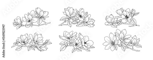 Magnolia flower arrangement line art on white background. Silhouette magnolia botanical hand drawn element for wedding, invitation frame design, vector illustration