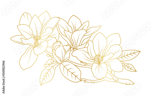 Golden magnolia flowers line art isolated on white background. Luxury magnolia floral design elements for invitation, wedding, wallpaper, print template, vector illustration