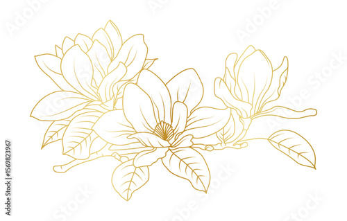 Golden magnolia flowers line art isolated on white background. Luxury magnolia floral design elements for invitation, wedding, wallpaper, print template, vector illustration