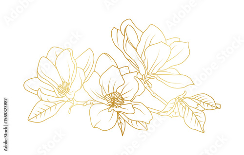 Golden magnolia flowers line art isolated on white background. Luxury magnolia floral design elements for invitation, wedding, wallpaper, print template, vector illustration
