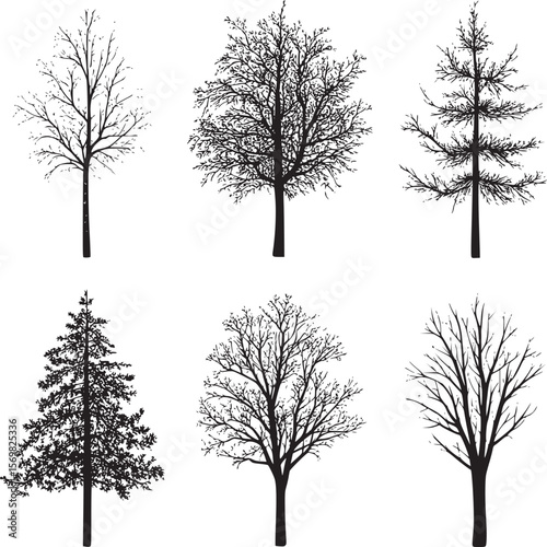 Tree silhouette vector illustration collection, bare winter trees isolated on white background, nature art design on transparent background
