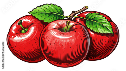 sketch of red apples on a clean white background vector perfect for food illustrations, botanical art, vintage packaging, healthy eating visuals, and organic produce designs