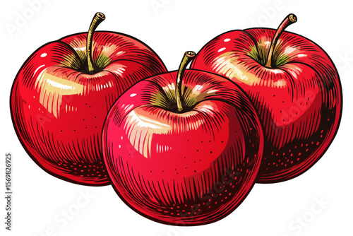 sketch of red apples on a clean white background vector perfect for food illustrations, botanical art, vintage packaging, healthy eating visuals, and organic produce designs