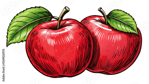 sketch of red apples on a clean white background vector perfect for food illustrations, botanical art, vintage packaging, healthy eating visuals, and organic produce designs