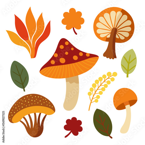 Scientific illustration of diverse mushroom species and fungi in a collection
