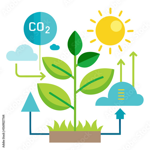 Educational diagram illustrating the fundamental process of photosynthesis in plants