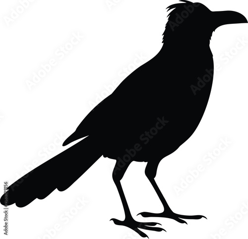 Silhouette of scruffy bird with fluffed feathers and upright tail standing in profile Vector illustration