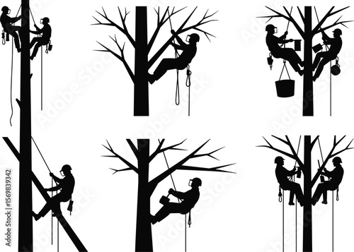 Arborist tree climbing vector silhouettes set, tree workers with harness, ropes, chainsaw, bucket, pruning branches, arboriculture safety gear, professional tree maintenance
