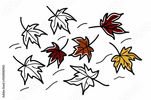 maple autumn leaves on white isolated background

