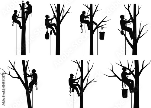 Tree worker silhouette vector set, arborist climbing tree with rope and harness, pruning branches, tree trimming safety, arboriculture illustration, bucket and gear