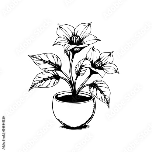 Elegant flower pot illustration showcasing delicate botanical design with intricate details on white background graphic element