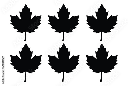 A vibrant vector illustration of isolated autumn maple leaves in various colors, perfect for fall season designs