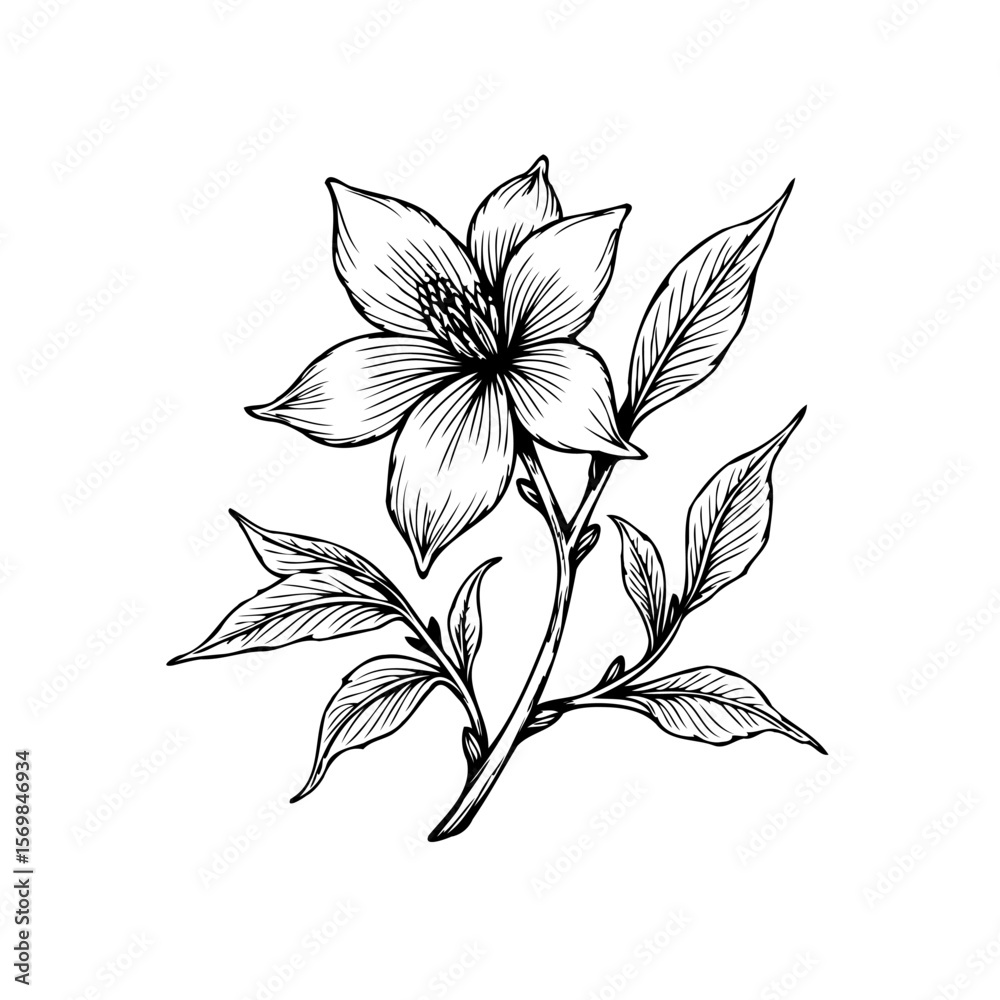 Fototapeta premium Elegant hand drawn botanical illustration of a flowering branch, perfect for adding a touch of nature inspired beauty
