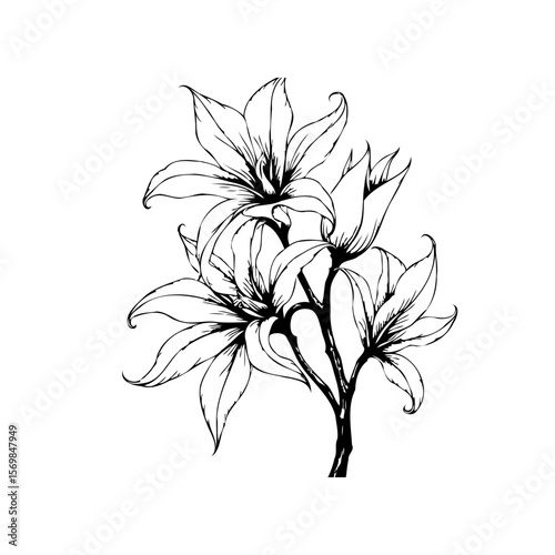 Elegant floral arrangement showcasing intricate line work and delicate details, a timeless botanical drawing expressing natural beauty