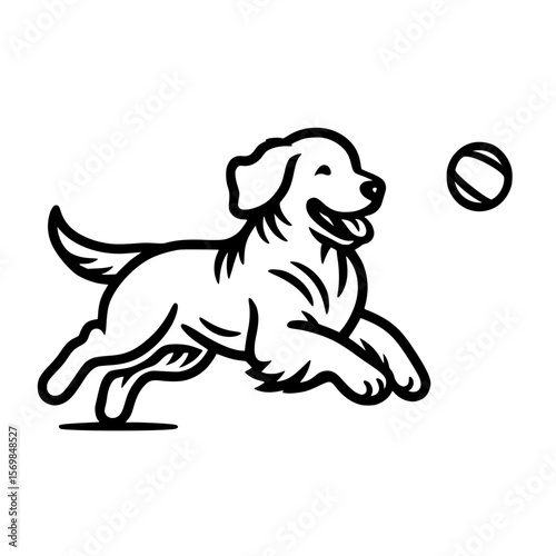 Golden Retriever chasing a ball