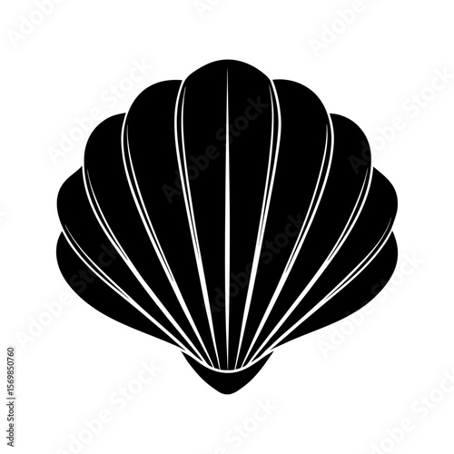 Seashell clipart on a white background vector illustration