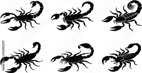 Set of Black Scorpion Silhouette Vector Illustrations.